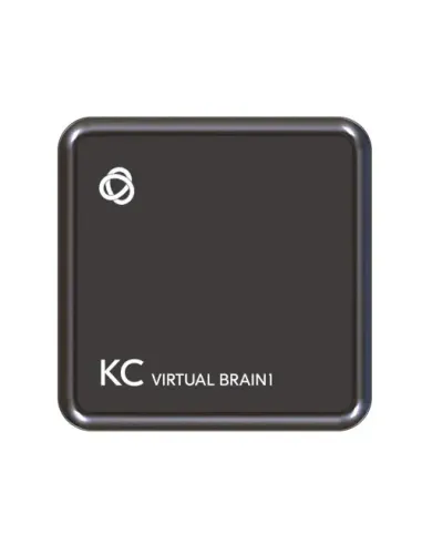KRAMER CONTROL - HW ONLY HARDWARE PLATFORM WITH 1 INSTANCE OF KRAMER VIRTUALBRAIN GEN2- KC-VIRTUALBRAIN1(GEN2) (30-00022790)