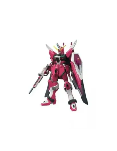 Hg 1 - 144 infinite justice gundam type ii re - run