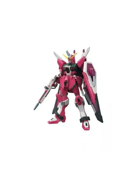 Hg 1 - 144 infinite justice gundam type ii re - run