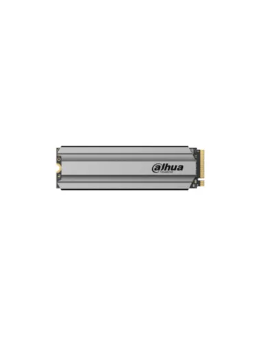 Dahua Technology DHI-SSD-C900VN256G-B