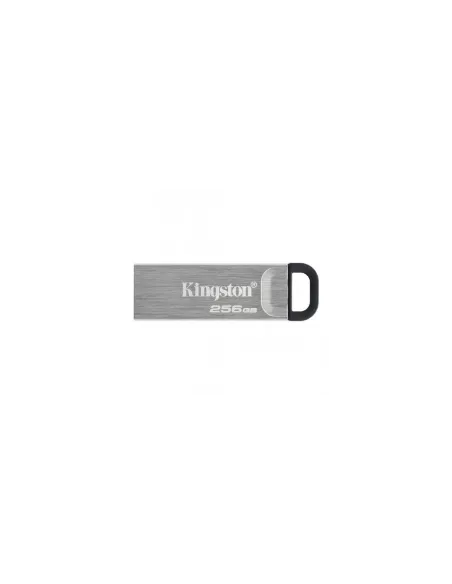 Kingston Technology DataTraveler Kyson unidad flash USB 256 GB USB tipo A 3.2 Gen 1 (3.1 Gen 1) Plata