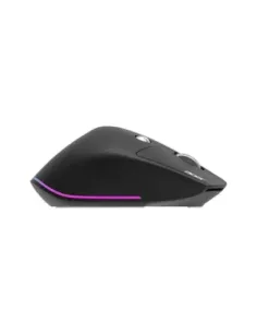 Raton acer easy fit negro