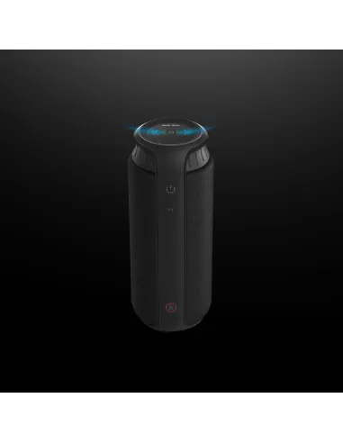 Hama Pipe 2.0 Negro Inalámbrico 24 W