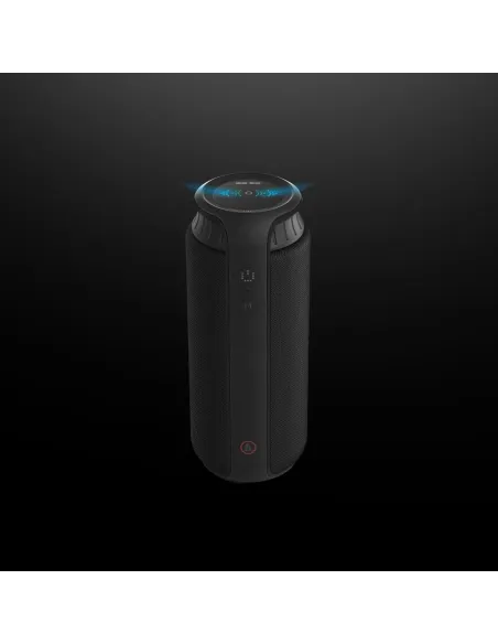 Hama Pipe 2.0 Negro Inalámbrico 24 W