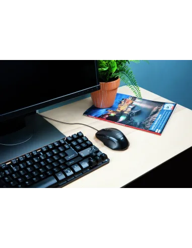 Trust Voca ratón Oficina mano derecha USB tipo A Óptico 2400 DPI