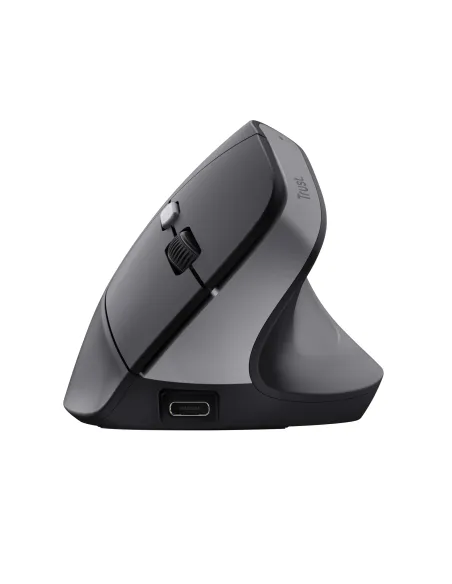 Trust TM-270 ratón Oficina mano derecha RF inalámbrico Óptico 2400 DPI