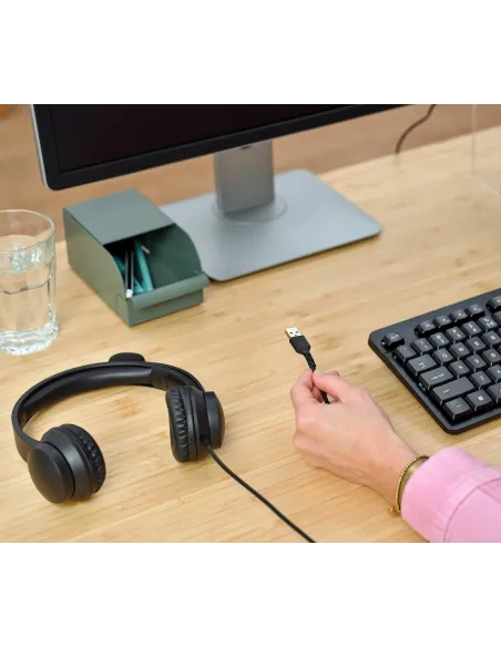 Trust HS-201 Auriculares Alámbrico Diadema Oficina Centro de llamadas USB tipo A Negro