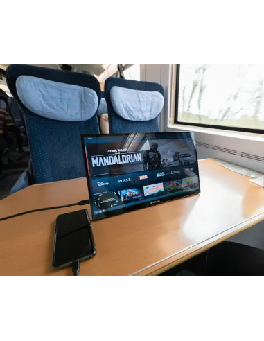 Verbatim 49593 pantalla para PC 43,9 cm (17.3") 1920 x 1080 Pixeles Full HD LCD Pantalla táctil Negro