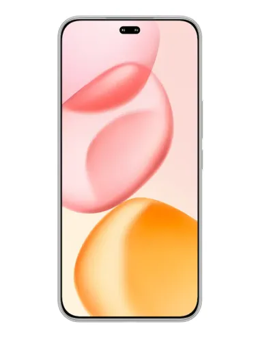 Honor 400 Pro 17 cm (6.7") MagicOS 9.0 5G 12 GB 512 GB 5300 mAh Gris