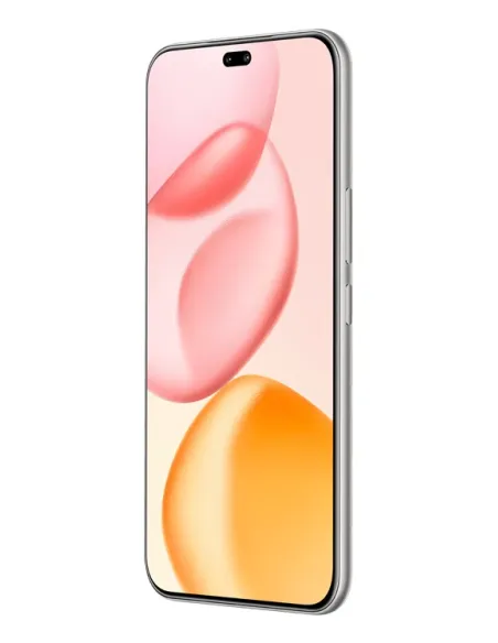 Honor 400 Pro 17 cm (6.7") MagicOS 9.0 5G 12 GB 512 GB 5300 mAh Gris