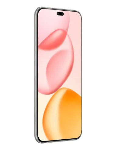 Honor 400 Pro 17 cm (6.7") MagicOS 9.0 5G 12 GB 512 GB 5300 mAh Gris