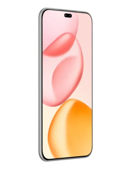 Honor 400 Pro 17 cm (6.7") MagicOS 9.0 5G 12 GB 512 GB 5300 mAh Gris