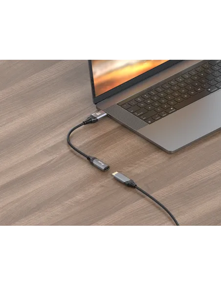 Equip Adaptador DisplayPort 1.2 a HDMI, 4K 60Hz