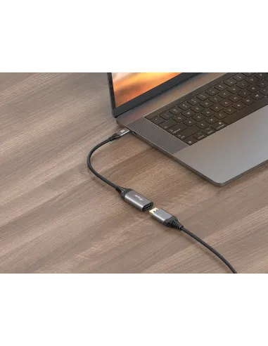 Equip 133493 Adaptador de USB-C a DisplayPort 1.4, 8K 30Hz