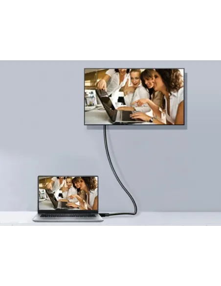 Equip 119251 Cable DisplayPort 1.4, 1,0 m, 8K 60 Hz