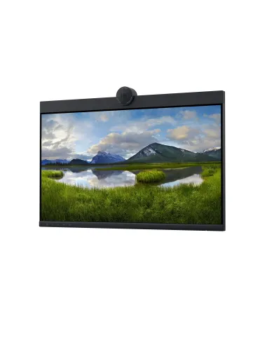 DELL P2424HEB 60,5 cm (23.8") LCD 1920 x 1080 Pixeles Full HD