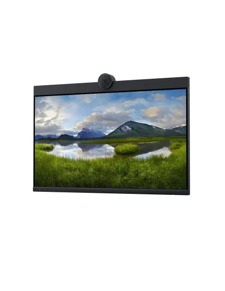 DELL P2424HEB 60,5 cm (23.8") LCD 1920 x 1080 Pixeles Full HD