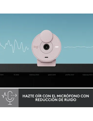 Logitech Brio 300