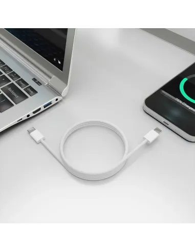 AISENS Cable USB 2.0 3A 60W Apple, tipo USB-C M-USB-C M, Blanco, 2.0m