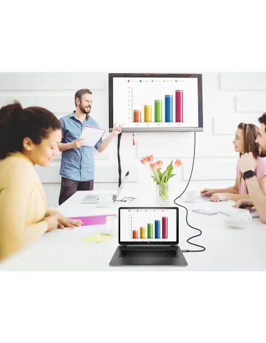 Conceptronic ABBY10G adaptador de cable de vídeo 2 m USB Tipo C HDMI Gris