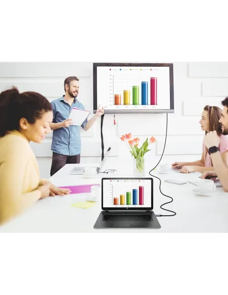 Conceptronic ABBY10G adaptador de cable de vídeo 2 m USB Tipo C HDMI Gris