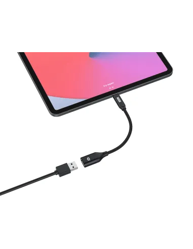 Conceptronic ABBY18B cambiador de género para cable USB-C USB-A Negro