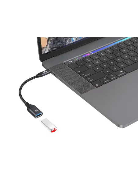 Conceptronic ABBY18B cambiador de género para cable USB-C USB-A Negro