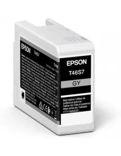 Epson UltraChrome Pro cartucho de tinta 1 pieza(s) Original Gris
