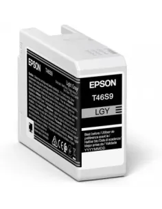 Epson UltraChrome Pro cartucho de tinta 1 pieza(s) Original Gris claro