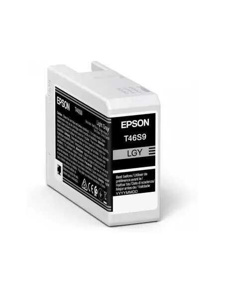Epson UltraChrome Pro cartucho de tinta 1 pieza(s) Original Gris claro