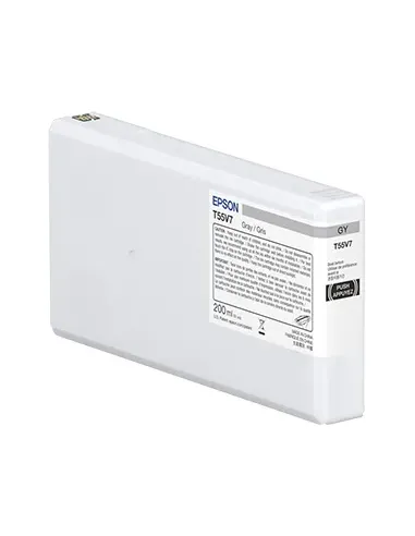 Epson UltraChrome Pro10 cartucho de tinta 1 pieza(s) Original Gris