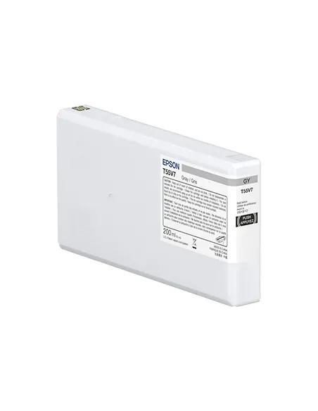 Epson UltraChrome Pro10 cartucho de tinta 1 pieza(s) Original Gris