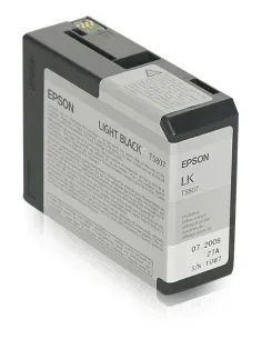 Epson Cartucho T580700 gris