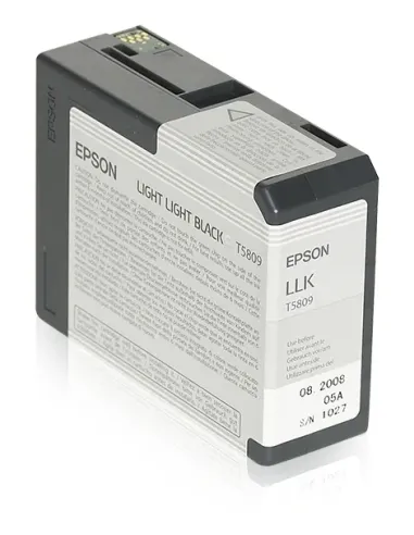 Epson Cartucho T580900 gris claro