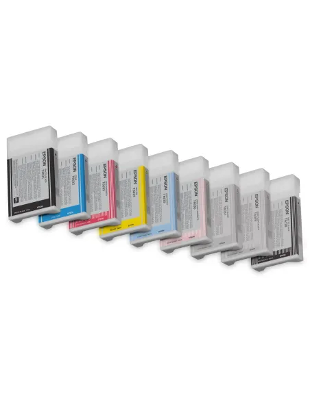 Epson Cartucho T603700 gris