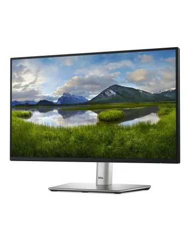 DELL P Series P2225H pantalla para PC 54,6 cm (21.5") 1920 x 1080 Pixeles Full HD LCD Negro, Plata