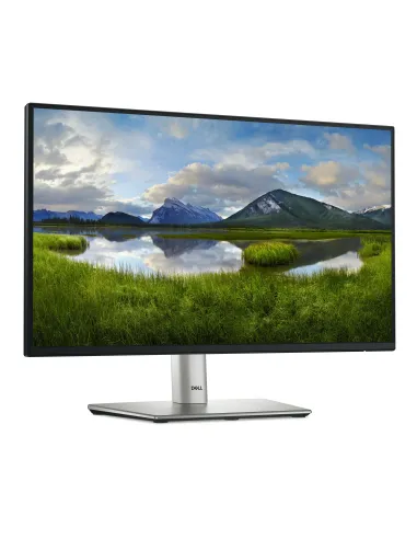 DELL P Series P2225H pantalla para PC 54,6 cm (21.5") 1920 x 1080 Pixeles Full HD LCD Negro, Plata