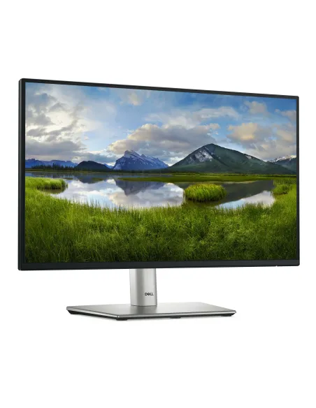 DELL P Series P2225H pantalla para PC 54,6 cm (21.5") 1920 x 1080 Pixeles Full HD LCD Negro, Plata