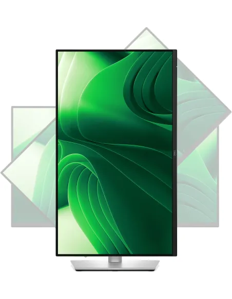 DELL Pro Plus P2425D pantalla para PC 61 cm (24") 2560 x 1440 Pixeles Quad HD LCD Negro, Plata