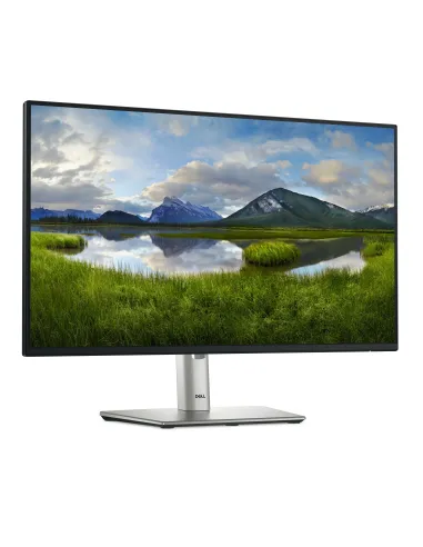 DELL Pro Plus P2425H pantalla para PC 60,5 cm (23.8") 1920 x 1080 Pixeles Full HD LCD Negro