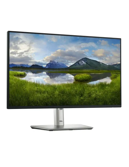 DELL Pro Plus P2425H pantalla para PC 60,5 cm (23.8") 1920 x 1080 Pixeles Full HD LCD Negro