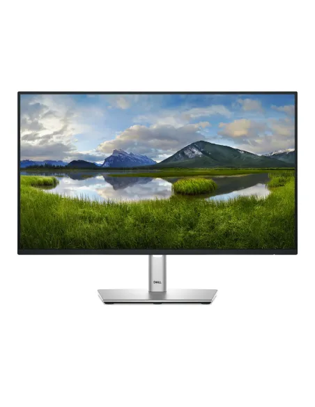 DELL Pro Plus P2425HE pantalla para PC 60,5 cm (23.8") 1920 x 1080 Pixeles Full HD LCD Negro