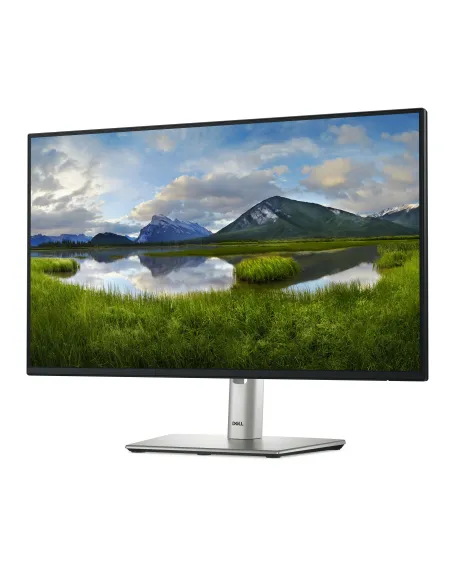 DELL Pro Plus P2425HE pantalla para PC 60,5 cm (23.8") 1920 x 1080 Pixeles Full HD LCD Negro