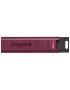 Kingston Technology DataTraveler 256GB Max Type-A 1000R 900W USB 3.2 Gen 2