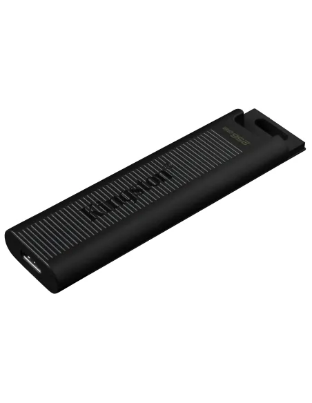 Kingston Technology DataTraveler 256GB Max 1000R 900W USB 3.2 Gen 2