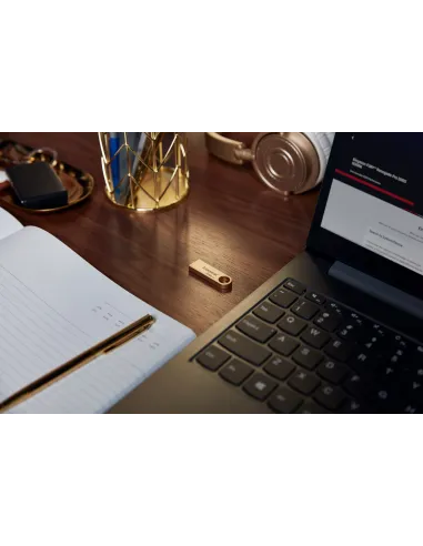 Kingston Technology DataTraveler 512GB 220MB s Unidad USB 3.2 Gen 1 Metálica SE9 G3