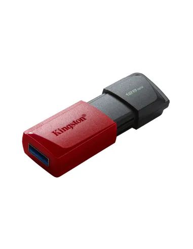 Kingston Technology DataTraveler 128GB USB3.2 Gen1 Exodia M (Negro + Rojo)