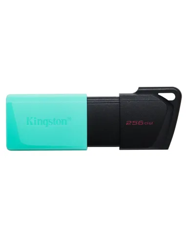 Kingston Technology DataTraveler 256GB USB3.2 Gen1 Exodia M (Negro + Turquesa)