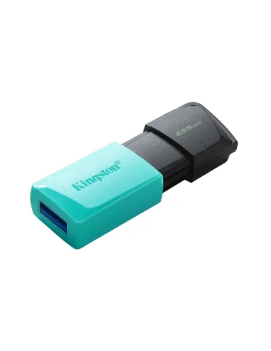 Kingston Technology DataTraveler 256GB USB3.2 Gen1 Exodia M (Negro + Turquesa)