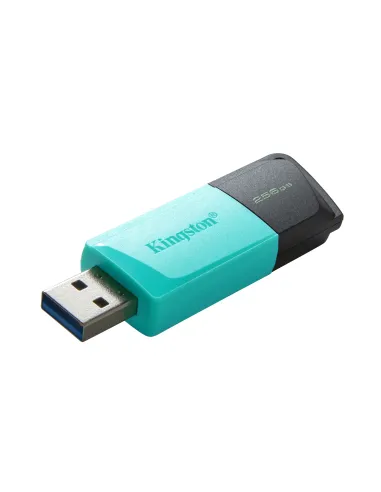 Kingston Technology DataTraveler 256GB USB3.2 Gen1 Exodia M (Negro + Turquesa)